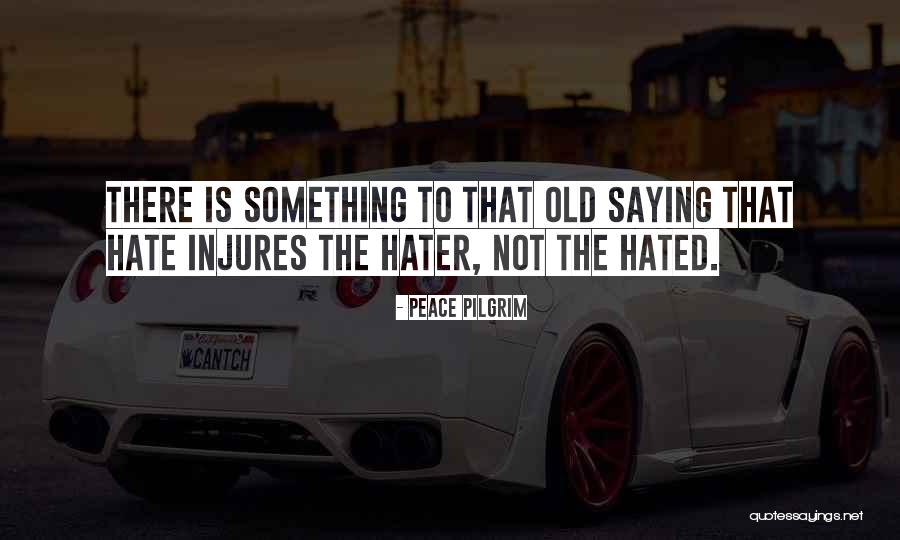 Not Saying Something Quotes By Peace Pilgrim Not Saying Something Quotes By Peace Pilgrim