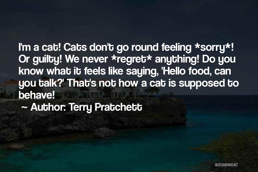 Not Saying Sorry Quotes By Terry Pratchett