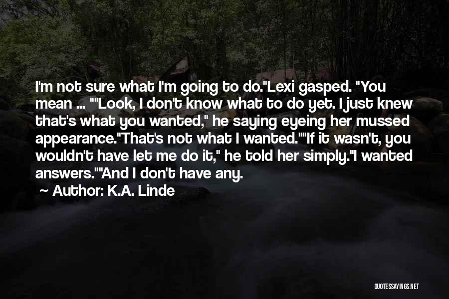 Not Saying What You Mean Quotes By K.A. Linde