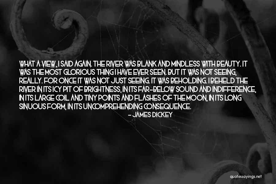 Not Seeing Beauty Quotes By James Dickey