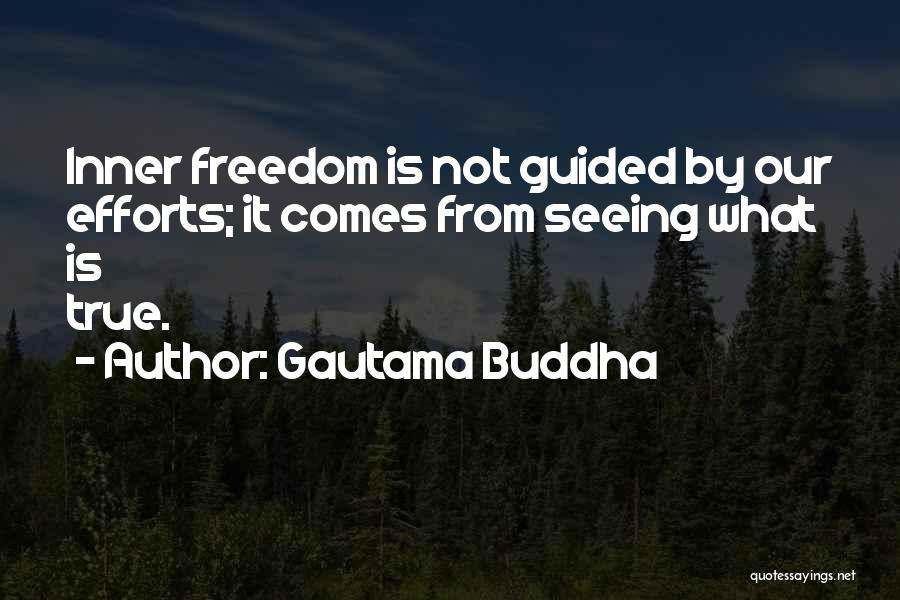 Not Seeing Quotes By Gautama Buddha