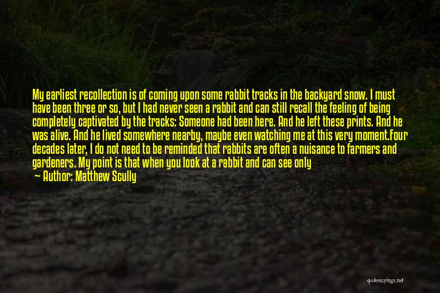 Not Seeing Someone Often Quotes By Matthew Scully