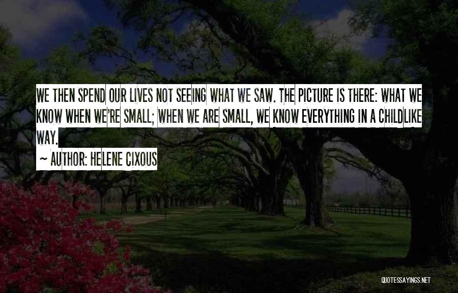 Not Seeing The Truth Quotes By Helene Cixous