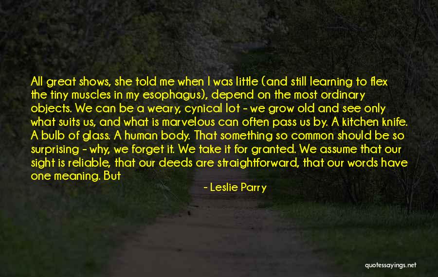 Not Seeing What Is In Front Of You Quotes By Leslie Parry Not Seeing What Is In Front Of You Quotes By Leslie Parry