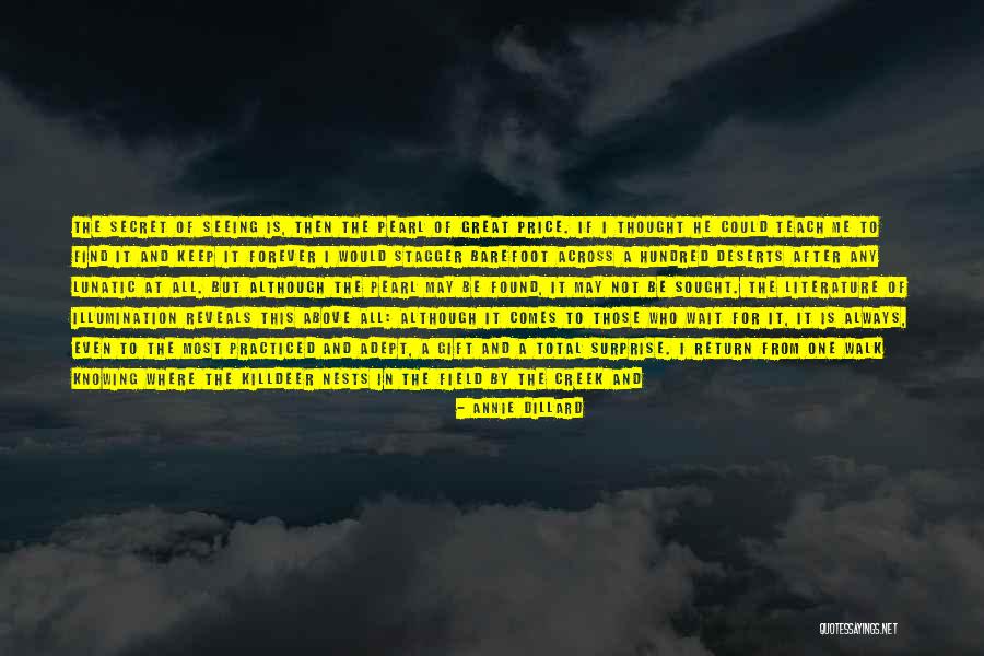 Not Seeing You For A Day Quotes By Annie Dillard