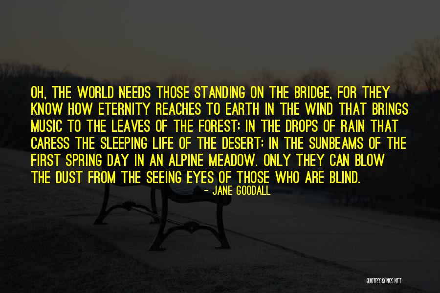 Not Seeing You For A Day Quotes By Jane Goodall