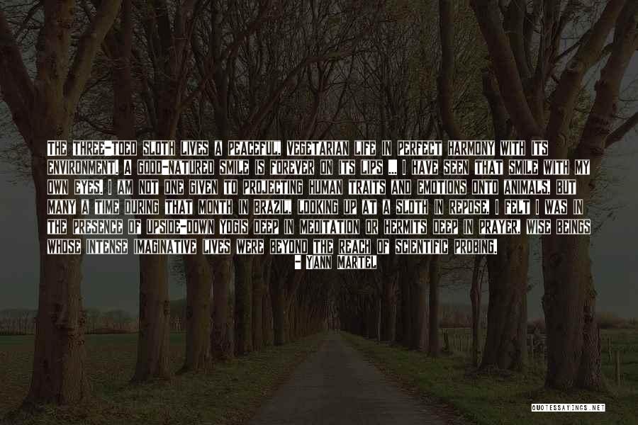 Not Seen But Felt Quotes By Yann Martel Not Seen But Felt Quotes By Yann Martel