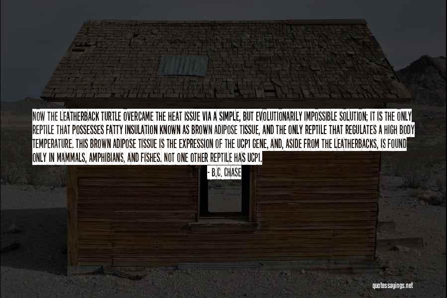 Not Simple Quotes By B.C. Chase Not Simple Quotes By B.C. Chase