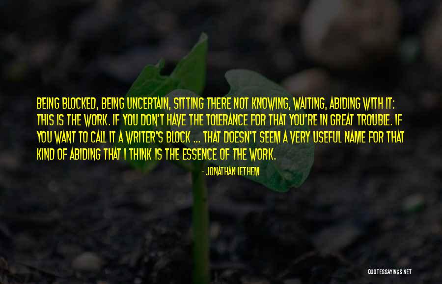 Not Sitting Quotes By Jonathan Lethem Not Sitting Quotes By Jonathan Lethem