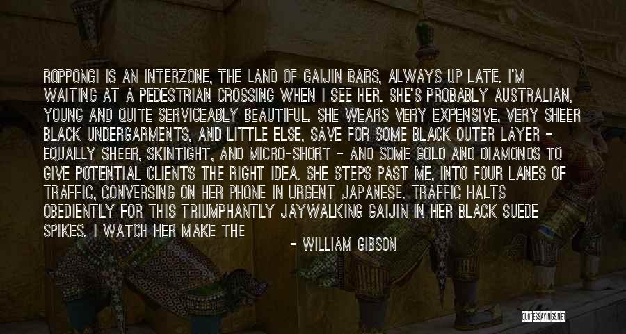 Not Skinny But Beautiful Quotes By William Gibson