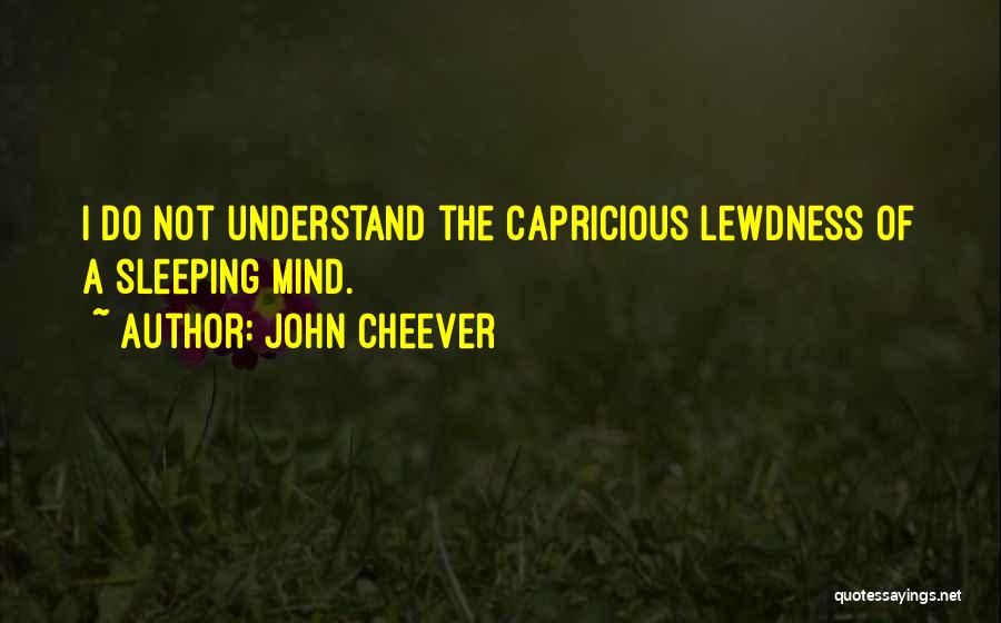 Not Sleeping Quotes By John Cheever