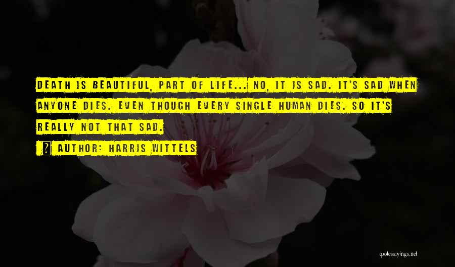 Not So Beautiful Quotes By Harris Wittels