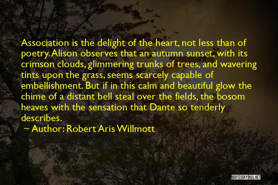 Not So Beautiful Quotes By Robert Aris Willmott