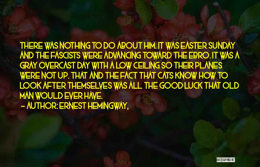 Not So Good Day Quotes By Ernest Hemingway,