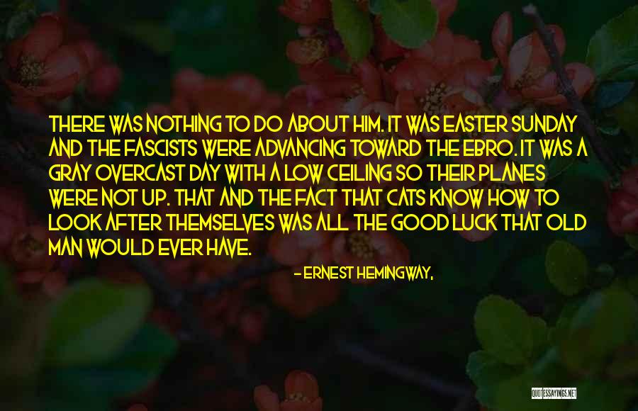 Not So Good Day Quotes By Ernest Hemingway,