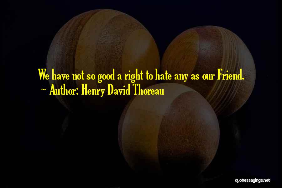 Not So Good Friend Quotes By Henry David Thoreau