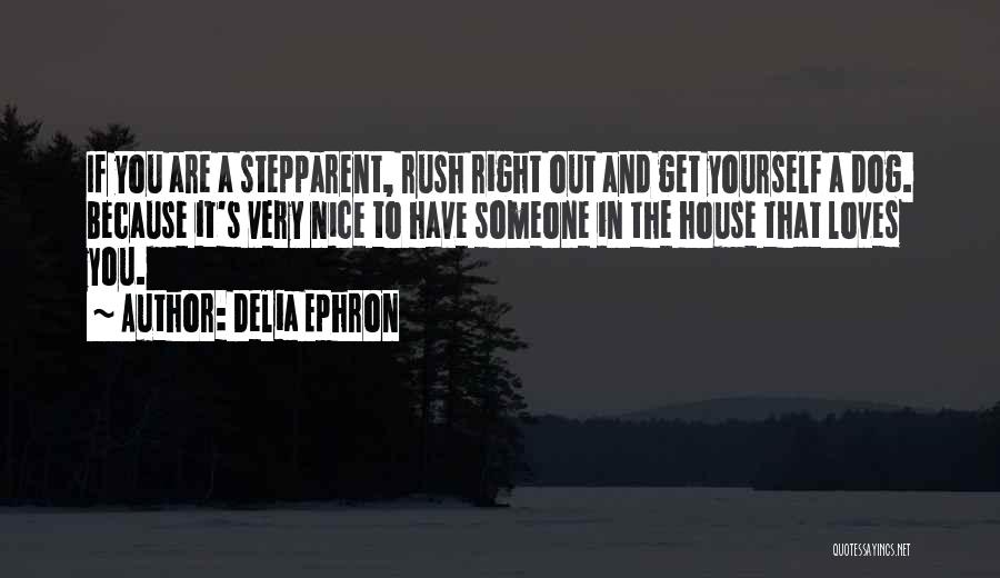Not So Nice Family Quotes By Delia Ephron