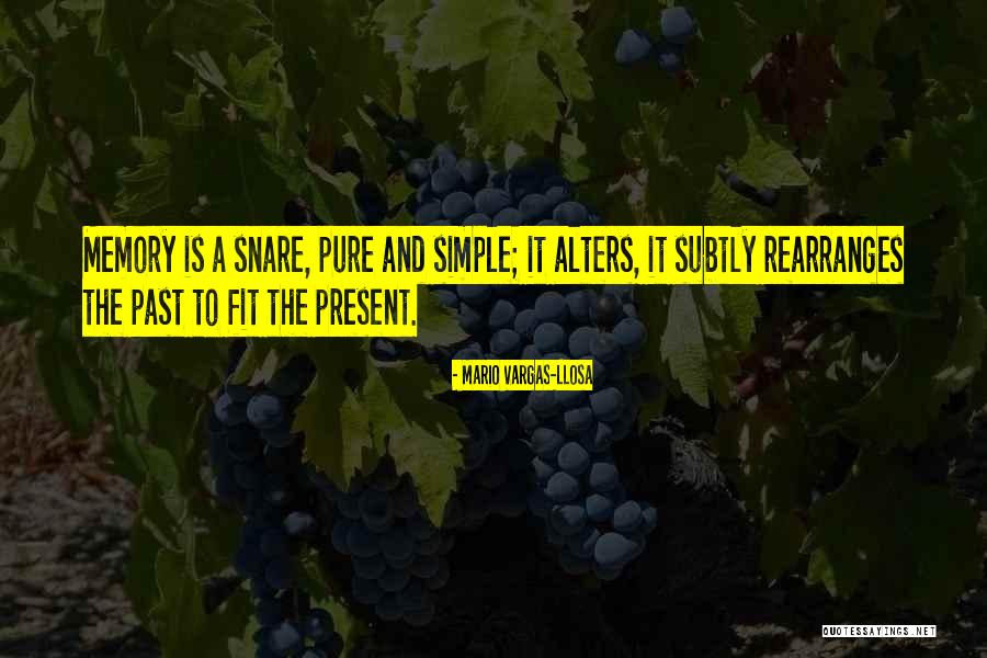 Not So Pure And Simple Quotes By Mario Vargas-Llosa Not So Pure And Simple Quotes By Mario Vargas-Llosa