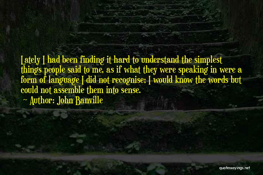 Not Speaking To Me Quotes By John Banville