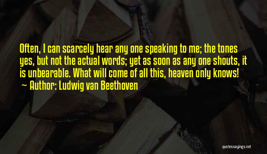Not Speaking To Me Quotes By Ludwig Van Beethoven