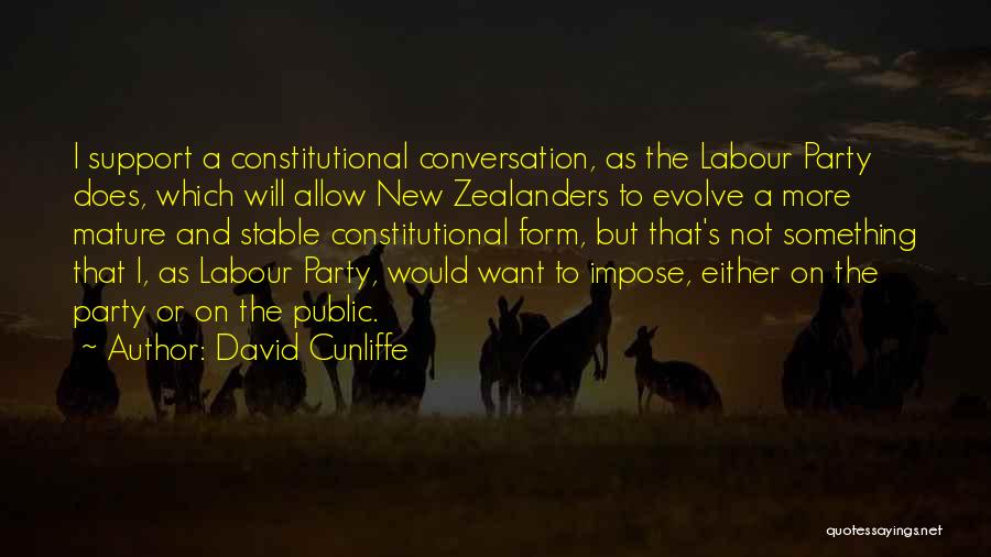 Not Stable Quotes By David Cunliffe