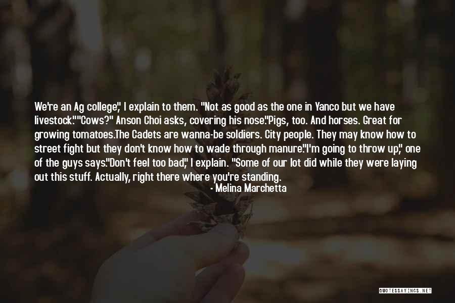 Not Standing Out Quotes By Melina Marchetta