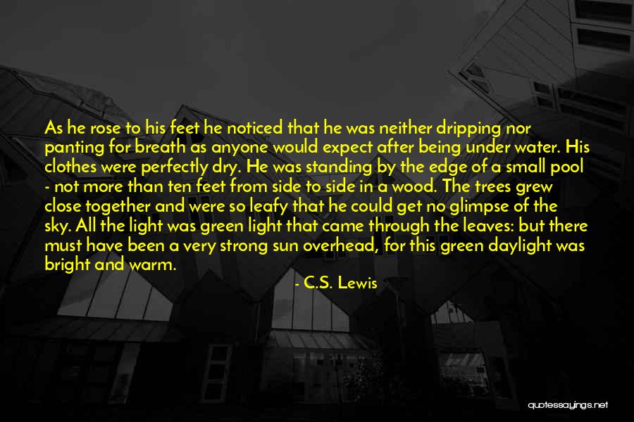 Not Standing Up Quotes By C.S. Lewis Not Standing Up Quotes By C.S. Lewis