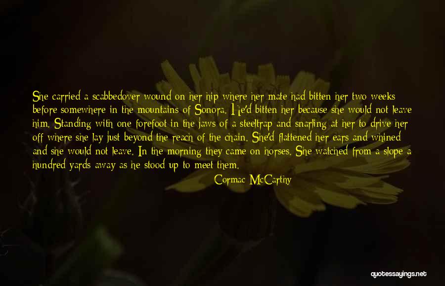 Not Standing Up Quotes By Cormac McCarthy Not Standing Up Quotes By Cormac McCarthy