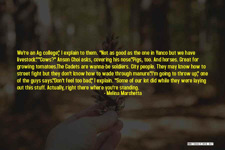 Not Standing Up Quotes By Melina Marchetta Not Standing Up Quotes By Melina Marchetta