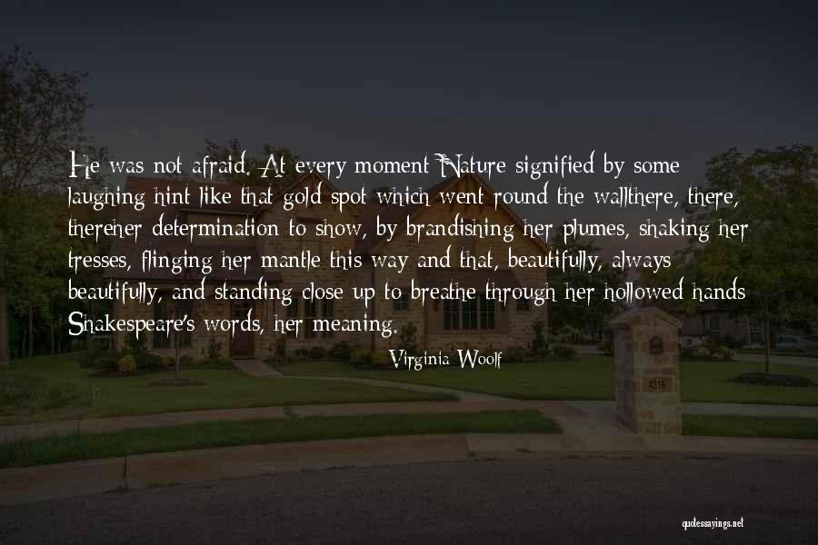 Not Standing Up Quotes By Virginia Woolf Not Standing Up Quotes By Virginia Woolf