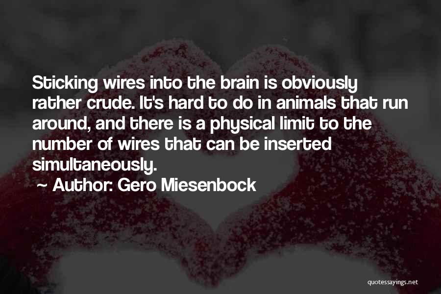 Not Sticking Around Quotes By Gero Miesenbock