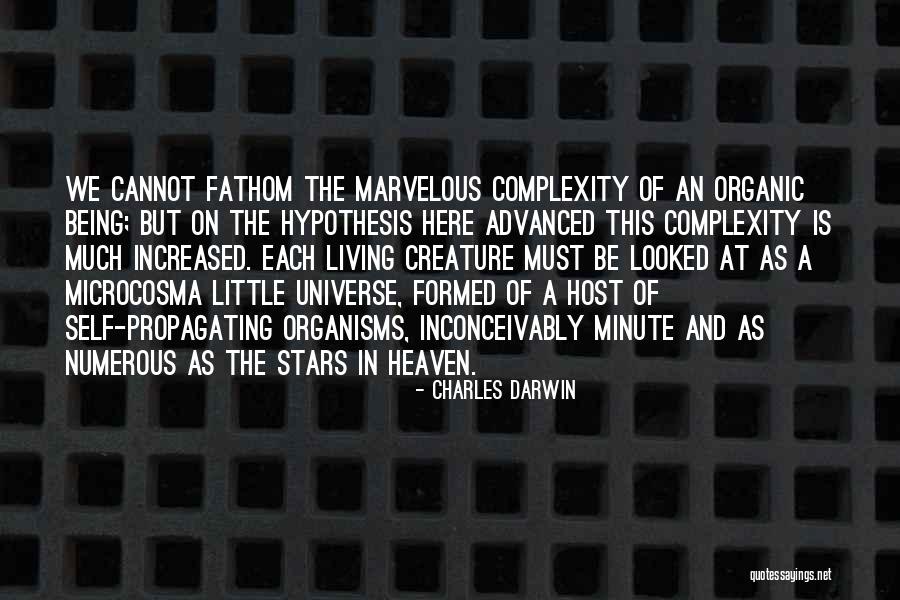 Not Stooping To Your Level Quotes By Charles Darwin Not Stooping To Your Level Quotes By Charles Darwin