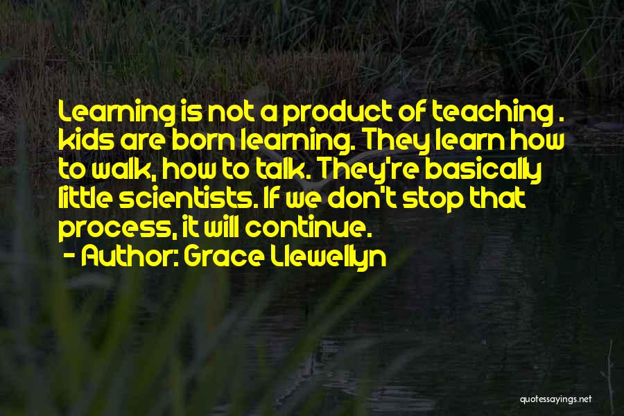 Not Stop Learning Quotes By Grace Llewellyn