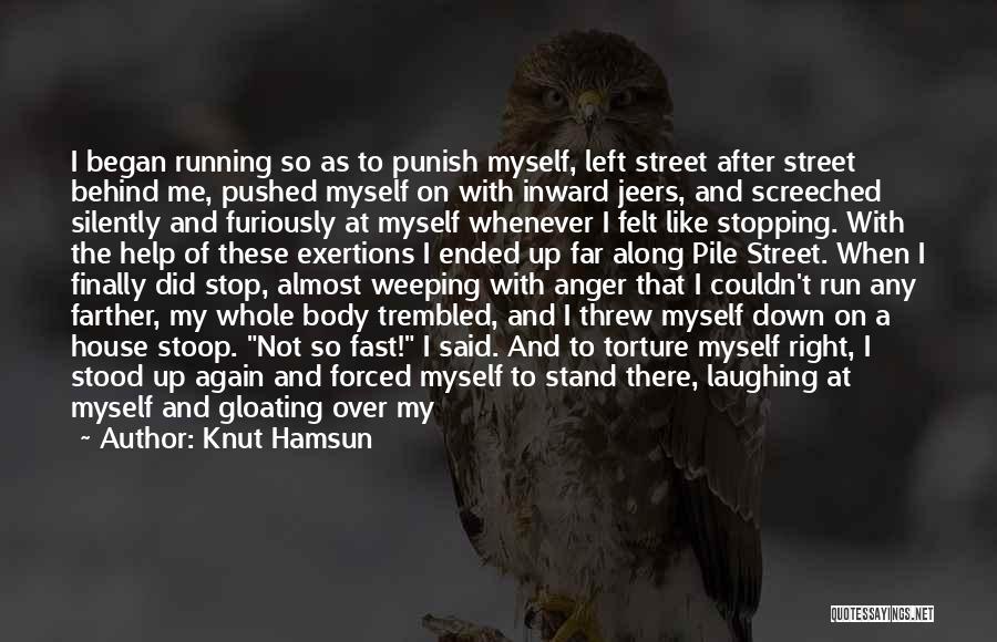 Not Stopping Me Quotes By Knut Hamsun