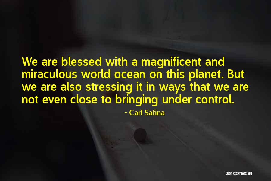 Not Stressing You Quotes By Carl Safina Not Stressing You Quotes By Carl Safina