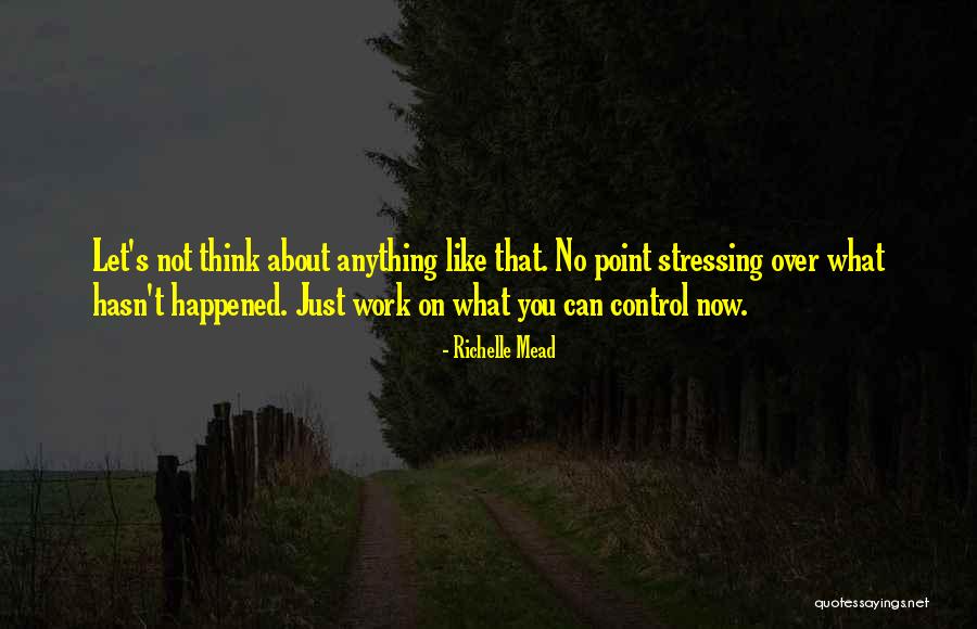 Not Stressing You Quotes By Richelle Mead Not Stressing You Quotes By Richelle Mead