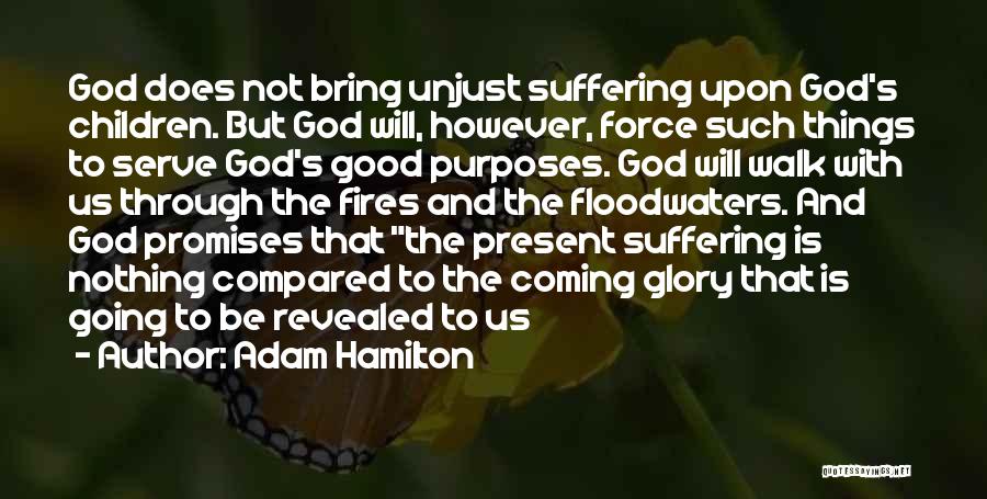 Not Suffering Quotes By Adam Hamilton