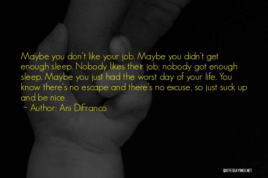 Not Sure If He Likes Me Quotes By Ani DiFranco