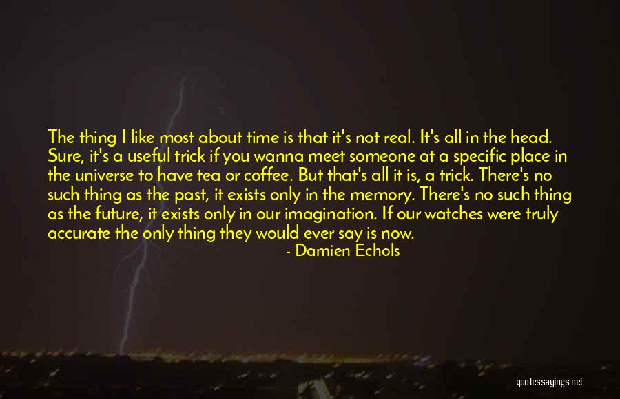 Not Sure If I Like You Quotes By Damien Echols