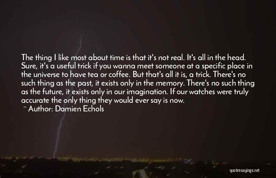 Not Sure If You Like Someone Quotes By Damien Echols