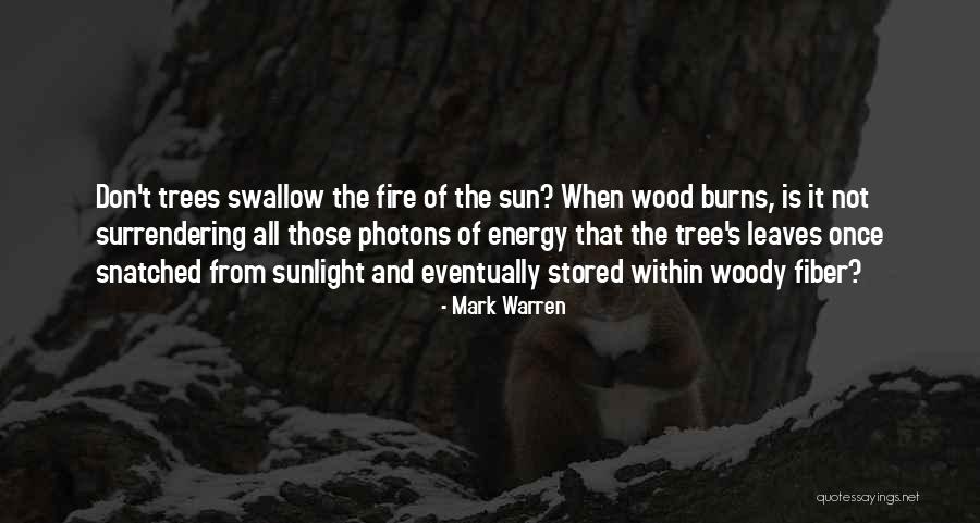 Not Surrendering Quotes By Mark Warren Not Surrendering Quotes By Mark Warren