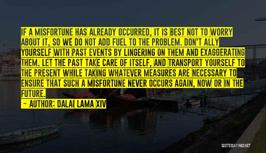 Not Taking Care Of Yourself Quotes By Dalai Lama XIV