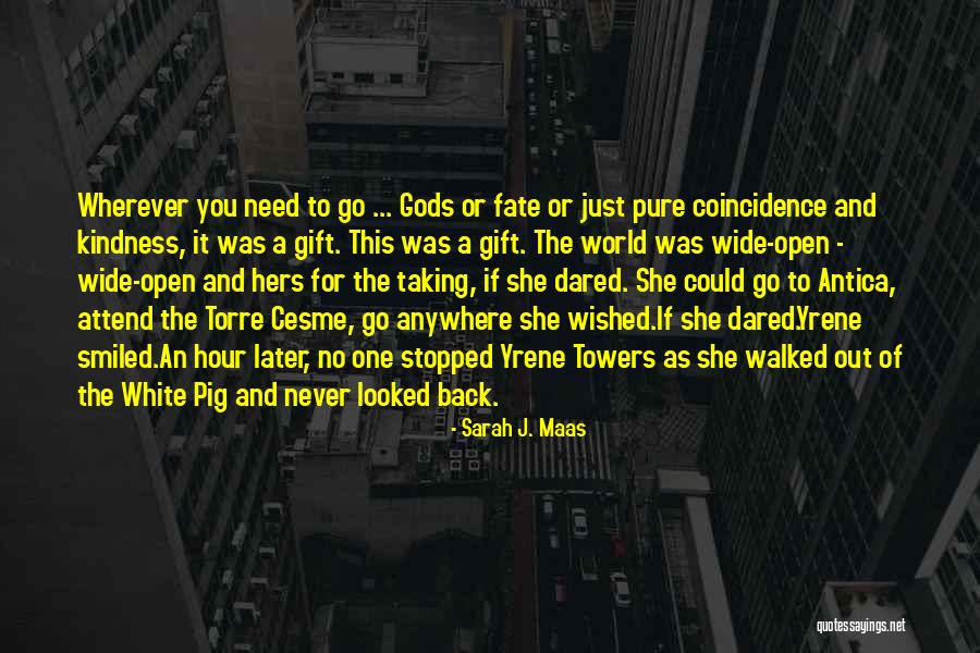 Not Taking Your Ex Back Quotes By Sarah J. Maas Not Taking Your Ex Back Quotes By Sarah J. Maas