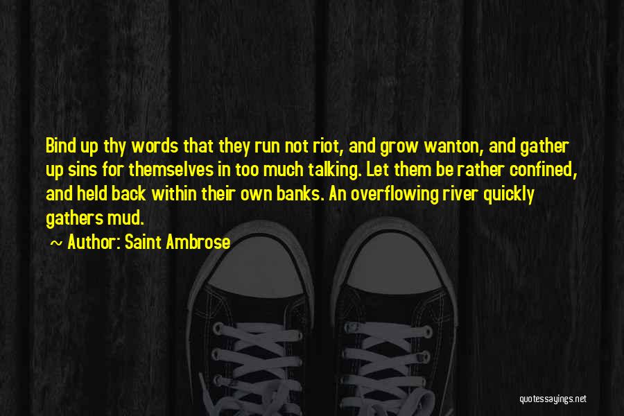 Not Talking Much Quotes By Saint Ambrose