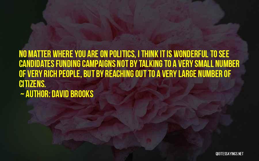 Not Talking Politics Quotes By David Brooks