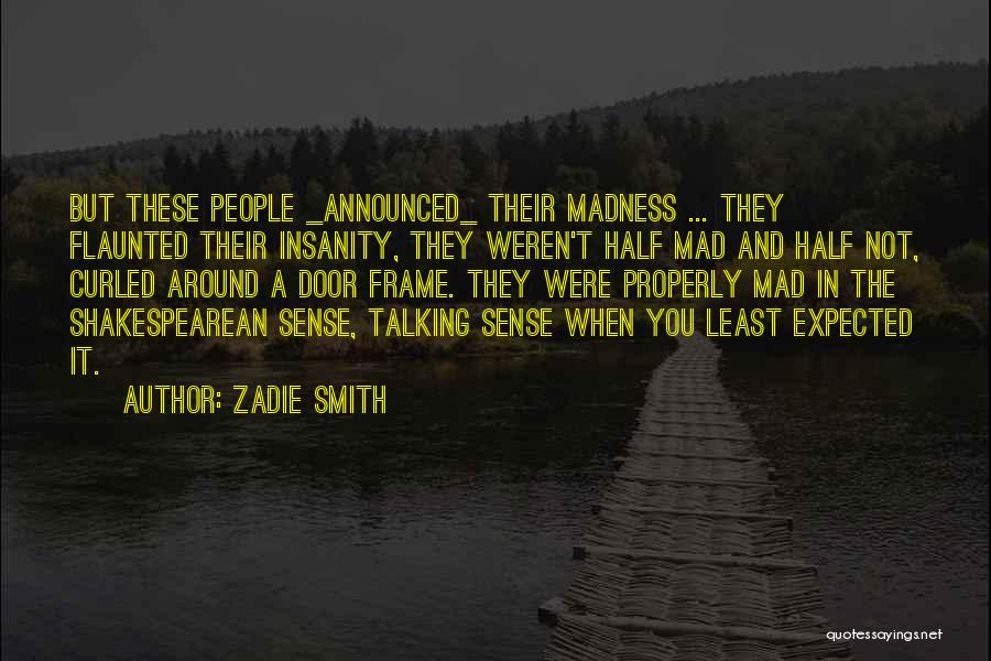 Not Talking Properly Quotes By Zadie Smith