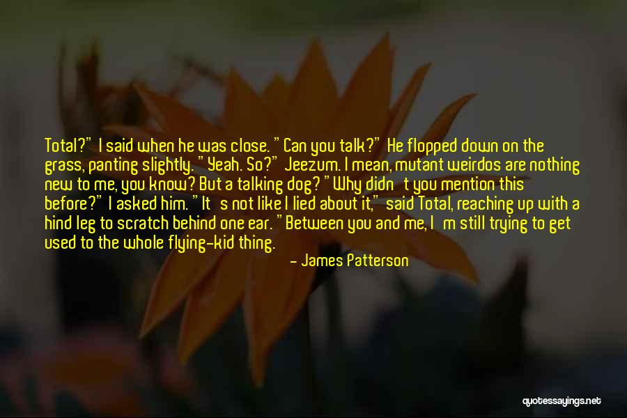 Not Talking To Him Quotes By James Patterson Not Talking To Him Quotes By James Patterson