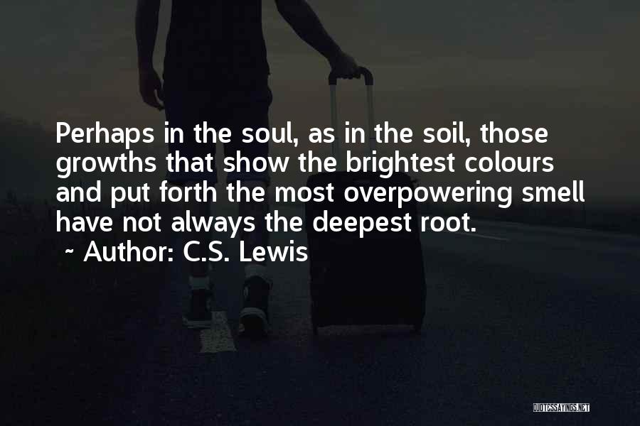 Not The Brightest Quotes By C.S. Lewis