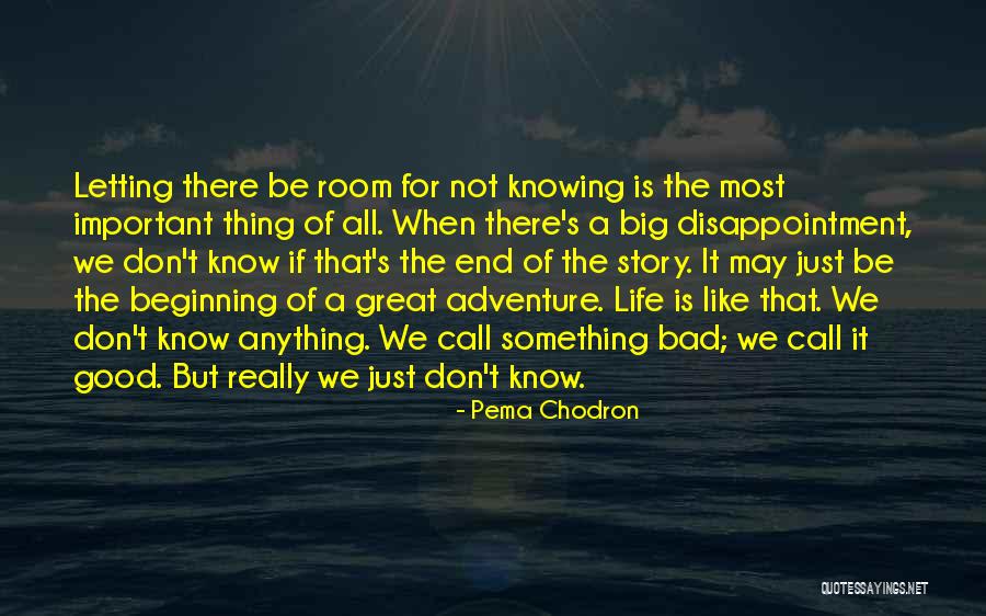 Not The End Just The Beginning Quotes By Pema Chodron Not The End Just The Beginning Quotes By Pema Chodron
