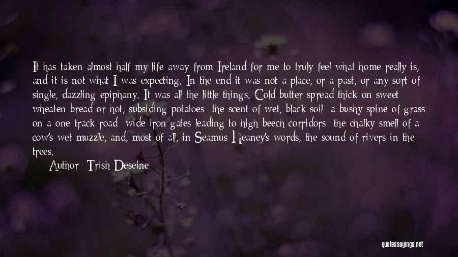 Not The End Of The Road Quotes By Trish Deseine
